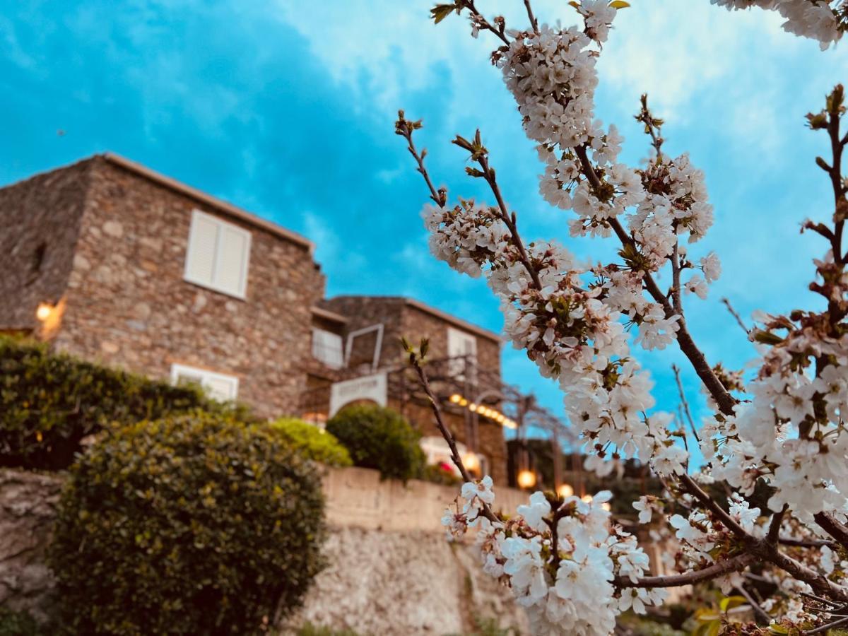 לינה וארוחת בוקר מאסינאג'יו Casa Di Babbo מראה חיצוני תמונה