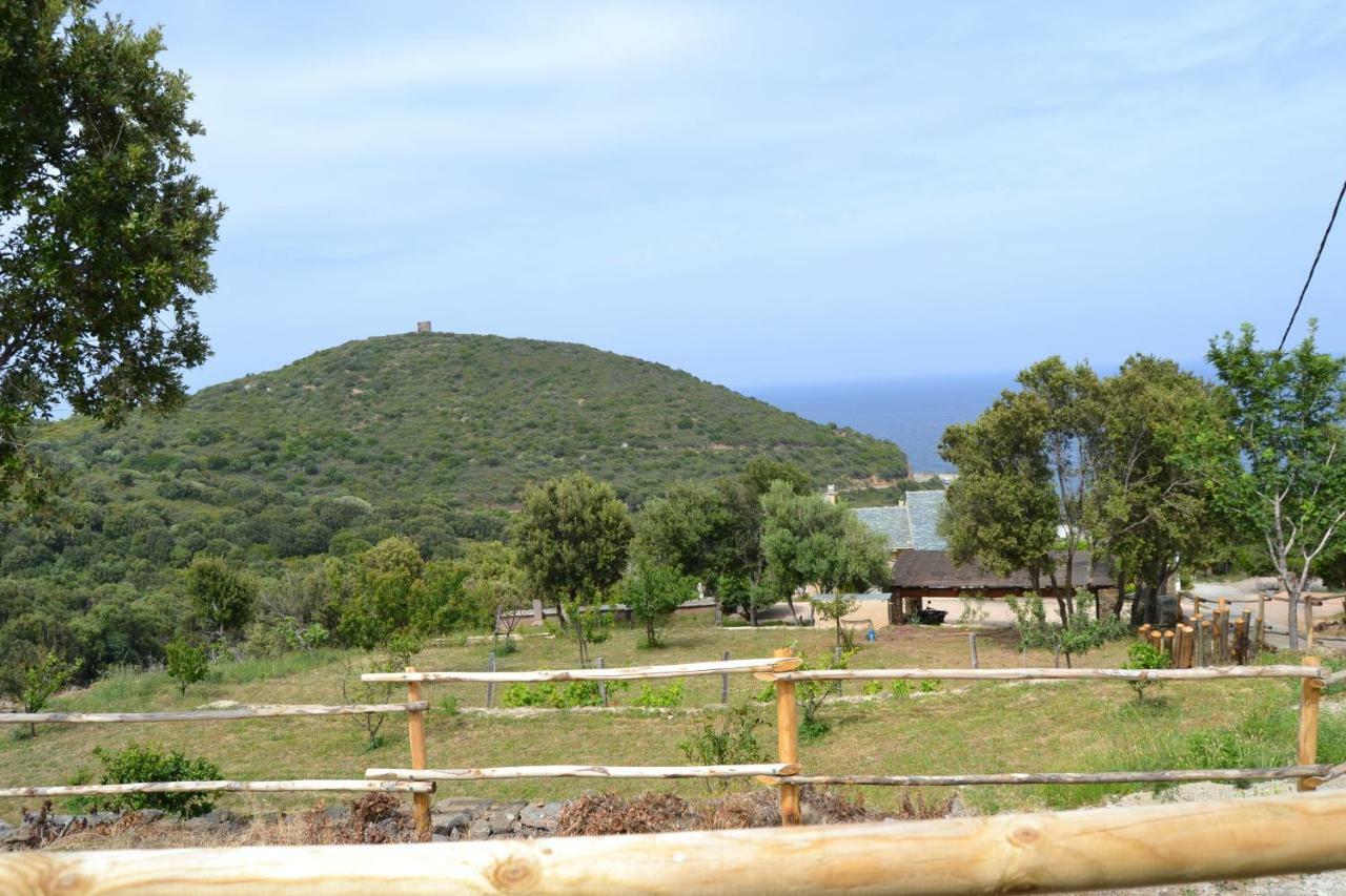 לינה וארוחת בוקר מאסינאג'יו Casa Di Babbo מראה חיצוני תמונה