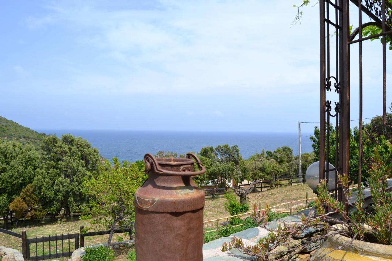 לינה וארוחת בוקר מאסינאג'יו Casa Di Babbo מראה חיצוני תמונה